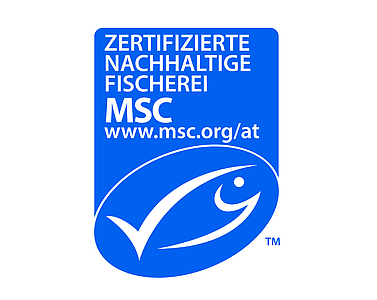 MSC-Siegel